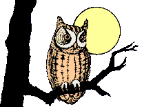 Buho