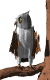 Buho
