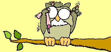Buho