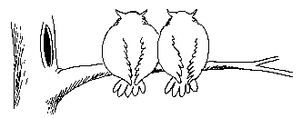 Buhos