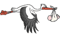 Ciguea