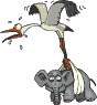 Ciguea
