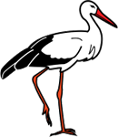 Ciguea