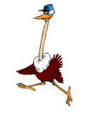 Ciguea
