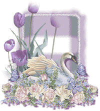 Cisne