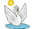 Cisne