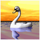 Cisne