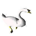 Cisne