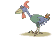 Gallina