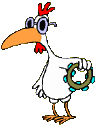 Gallina