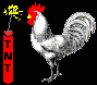 Gallina