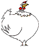 Gallina