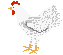 Gallina