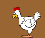 pollito