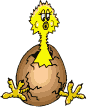 Gallina