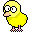 pollito