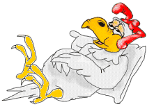 Gallina