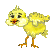 pollito