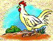 pollito
