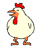 Gallina