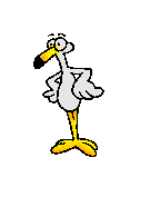Gallina