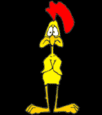 Gallina