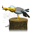 Gaviota