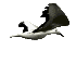 Gaviota