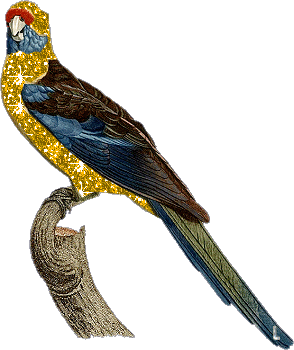 Loro