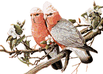 Loro