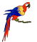 Loro