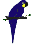 Loro