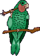 Loro