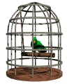 Loro