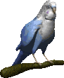 Loro