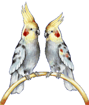 Loros