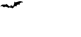 Murcielago