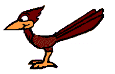 Pajaro Carpintero