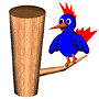 Pajaro Carpintero