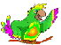 Papagayo