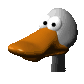 Pato