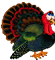 pavo