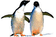 Pingino