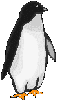 Pingino