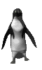 Pingino