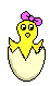 Pollito