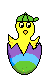 Pollito