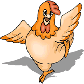 Pollo