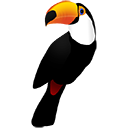 Tucan