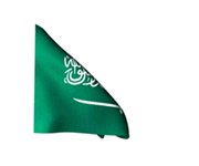bandera Arabia Saudita